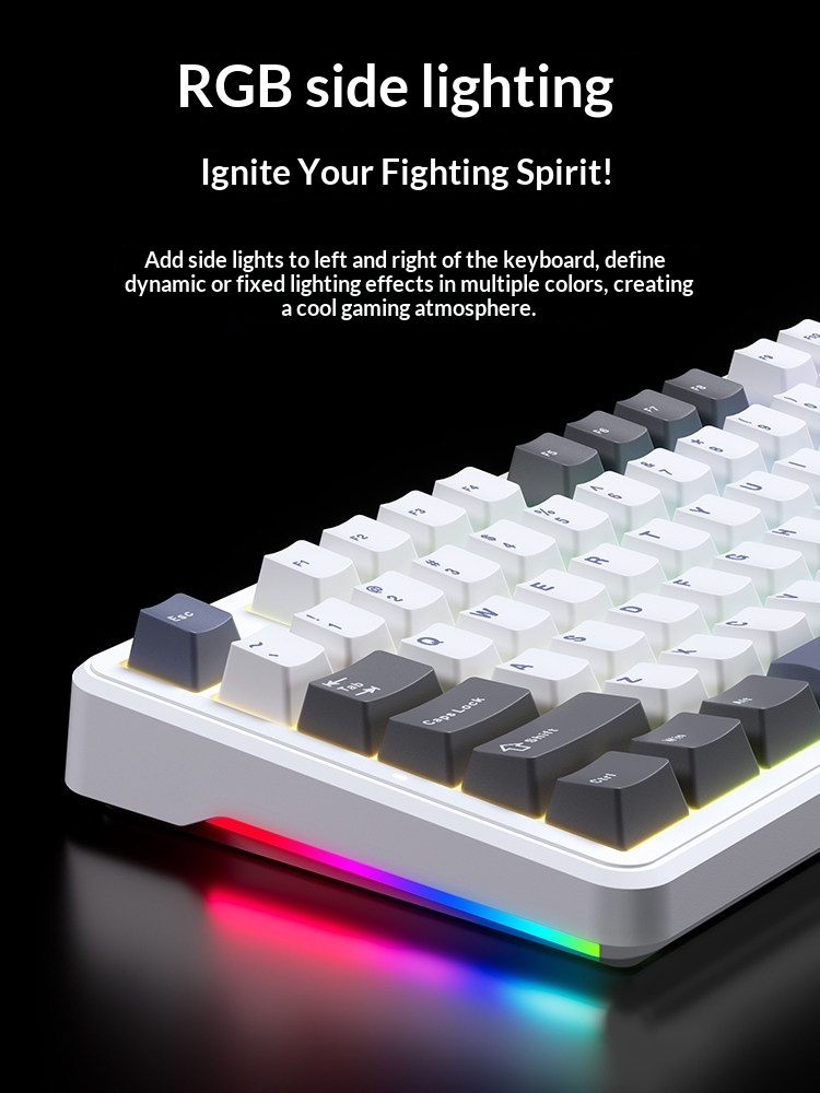Aula F87 Pro Tri Mode Wireless - đánh giá và giá Gaming Keyboard Not Typing