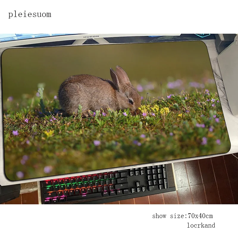 Rabbit cute mouse pad best mou - đánh giá và giá Gaming Keyboard Best